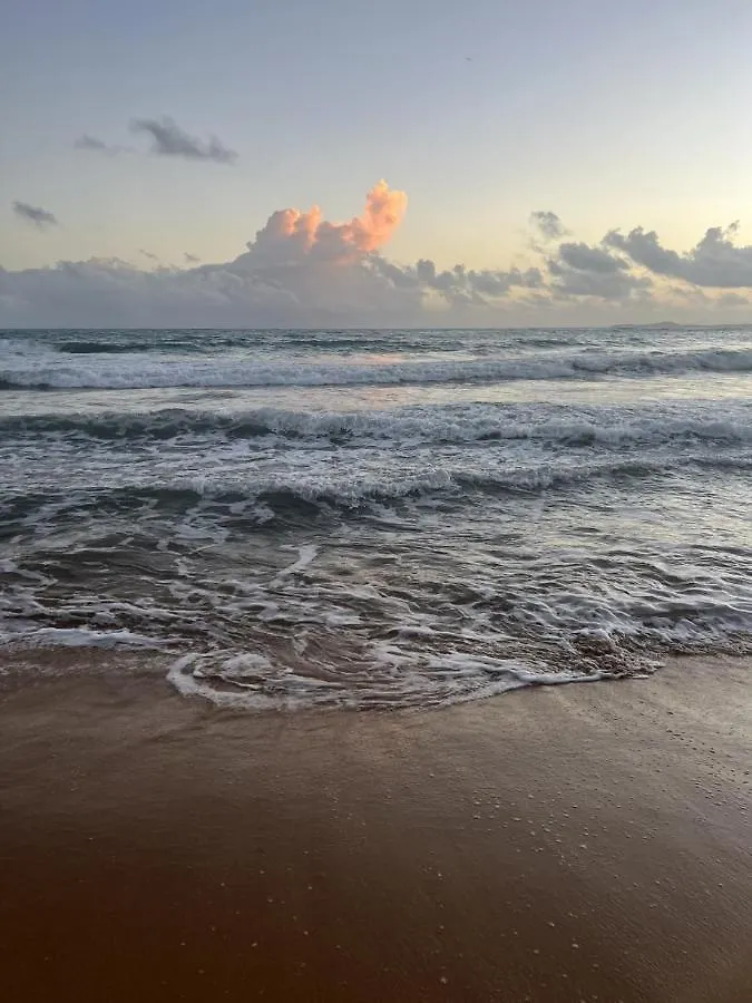 Apartment Oceanfront Condo In Luquillo